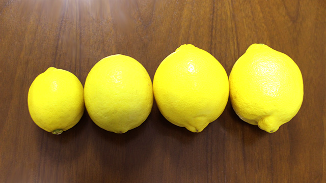 雑学レモン おいしいレモンの見分け方 Withレモン