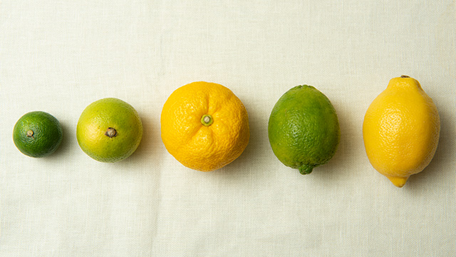 雑学レモン 日本で栽培されているレモンの種類って ライムとの違いは Withレモン